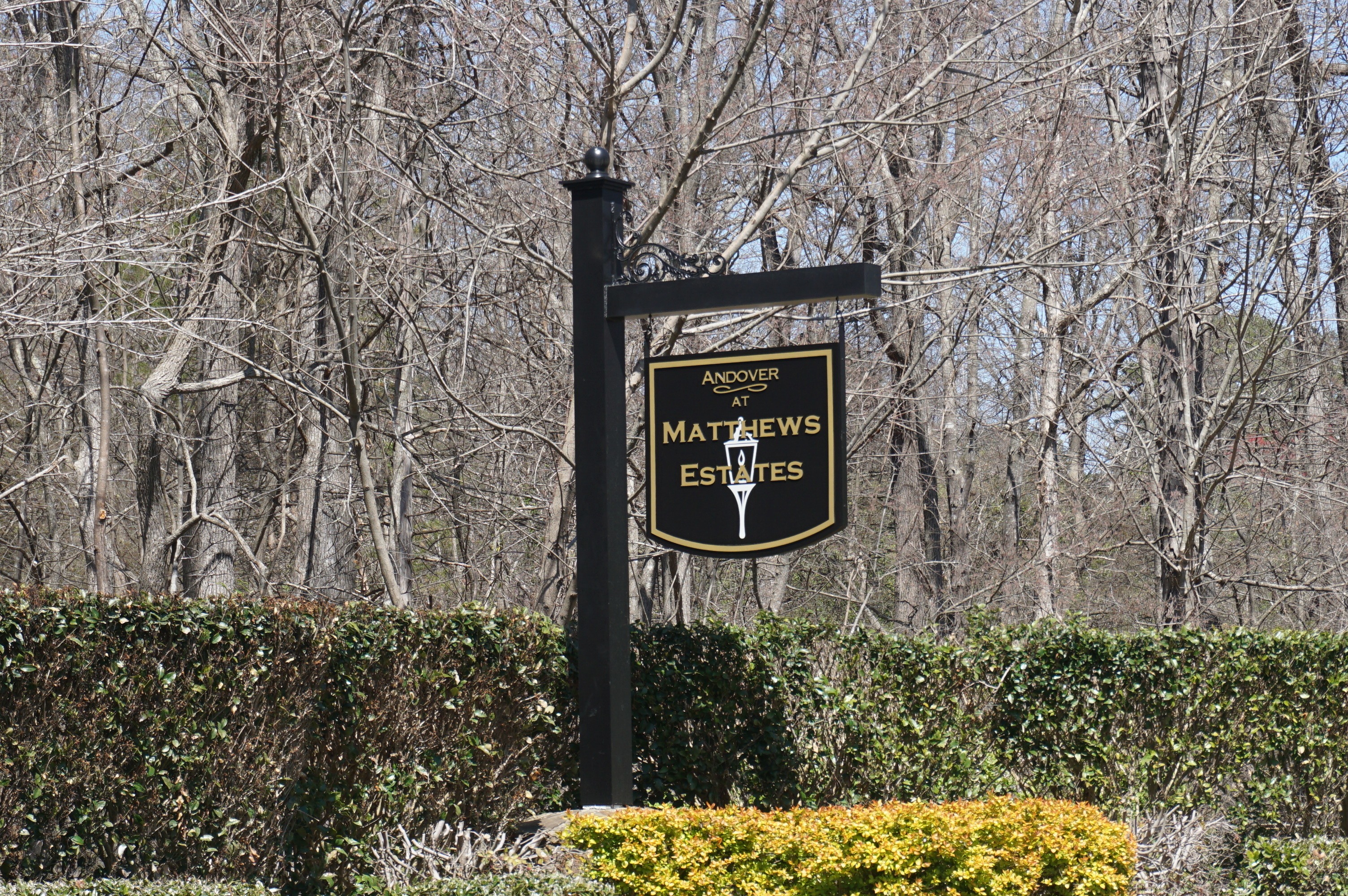 Matthews NC Top Neighborhoods under 300,000 Homes for Sale