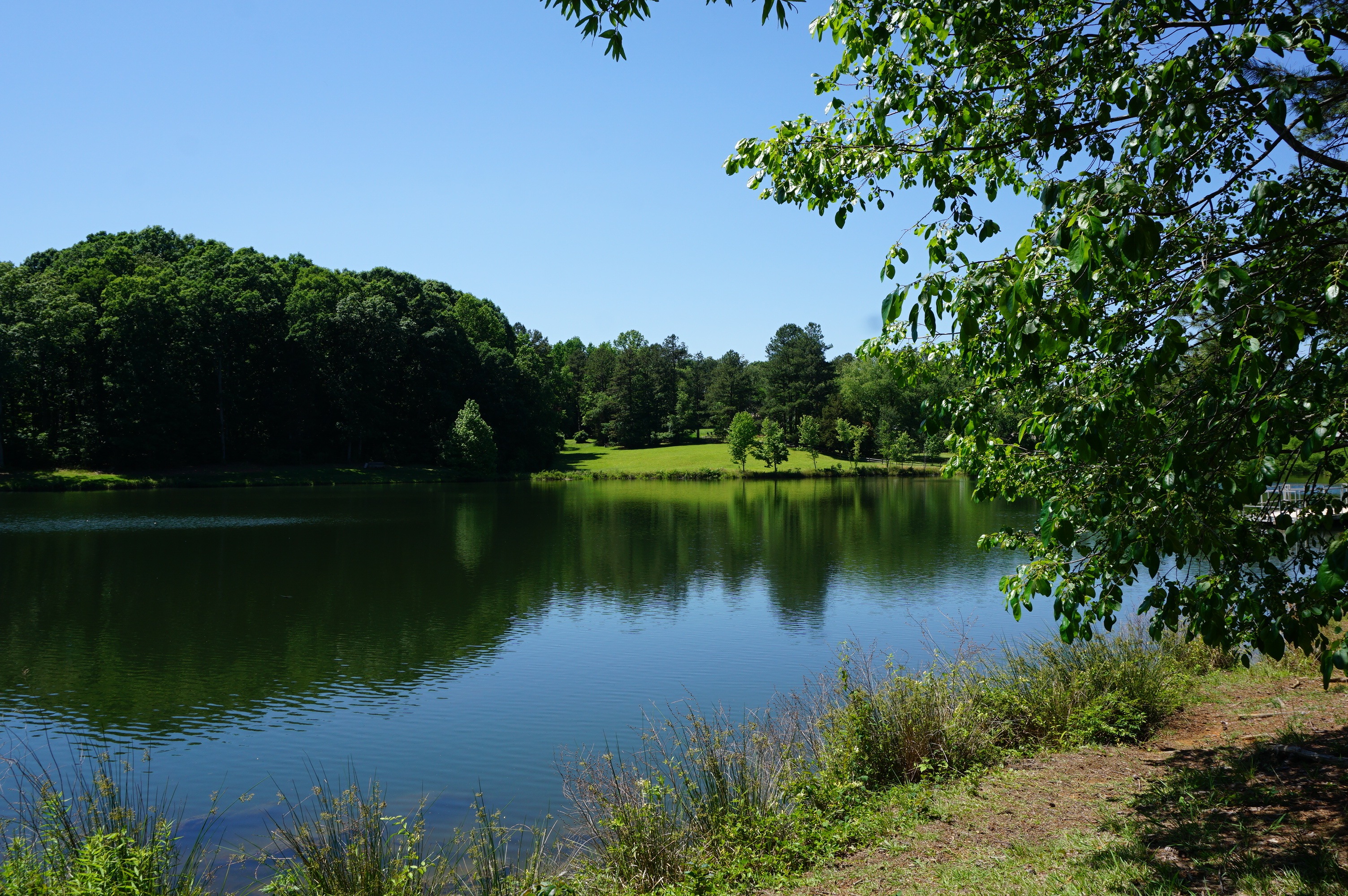 Matthews NC Top Neighborhoods under 300,000 Homes for Sale